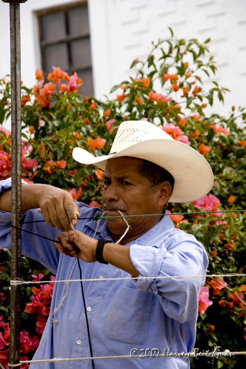 Local Man at Work No-1303.jpg